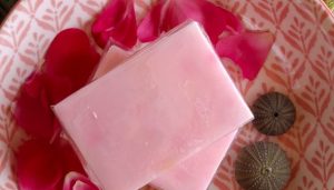skinny dip soap bar - natural oils