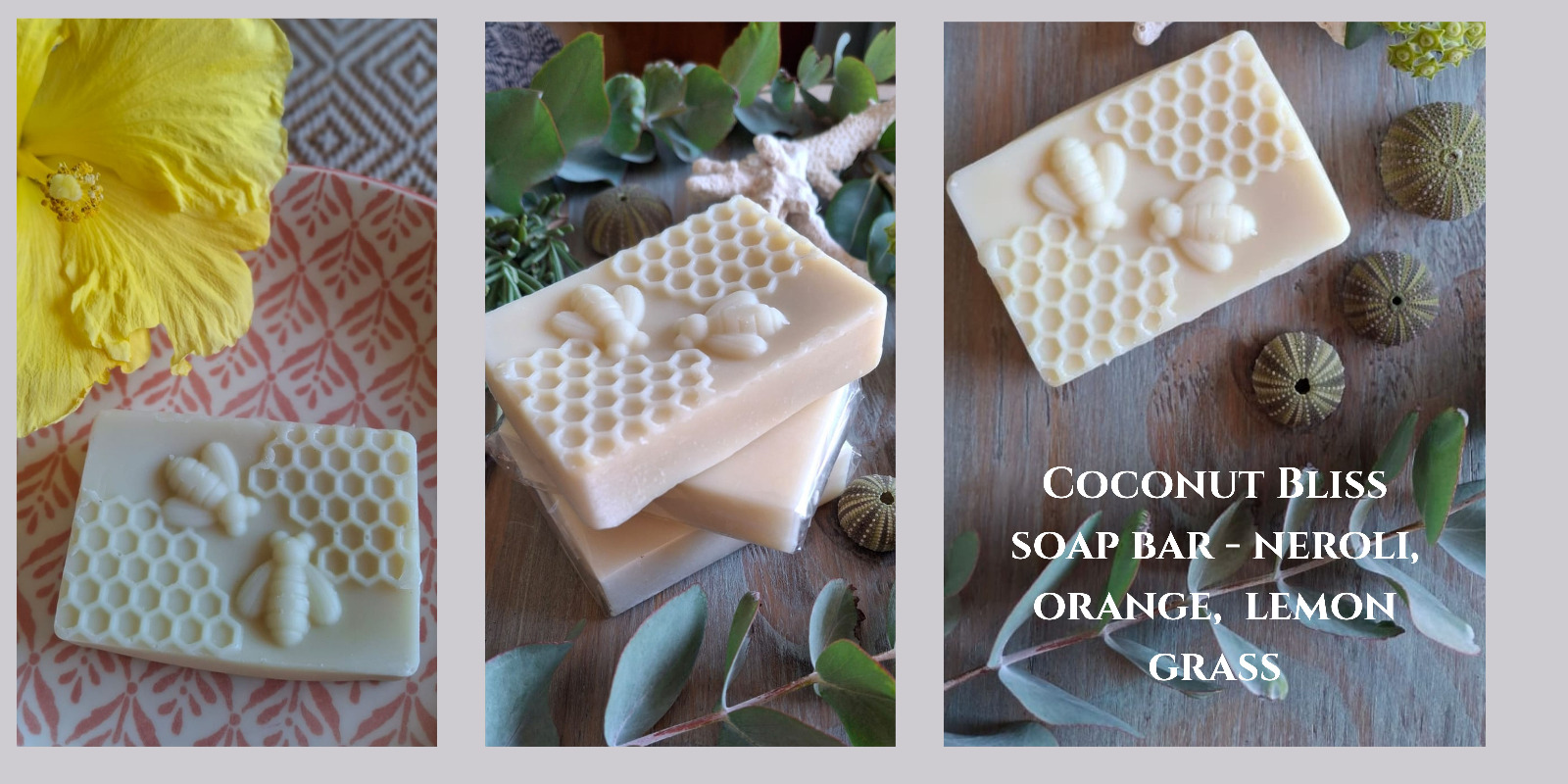 Coconut bliss bee soap bar - natural oils, no chemicals